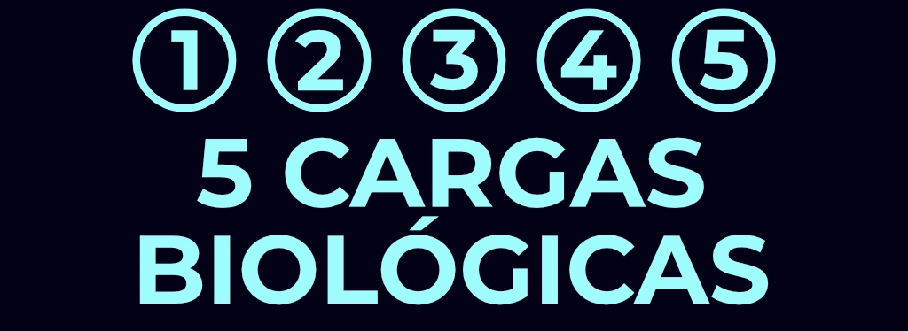 Un gráfico con las 5 cargas biológicas